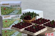梦见宴请高速赋能产业升级：一条“杨梅路”的致富密码